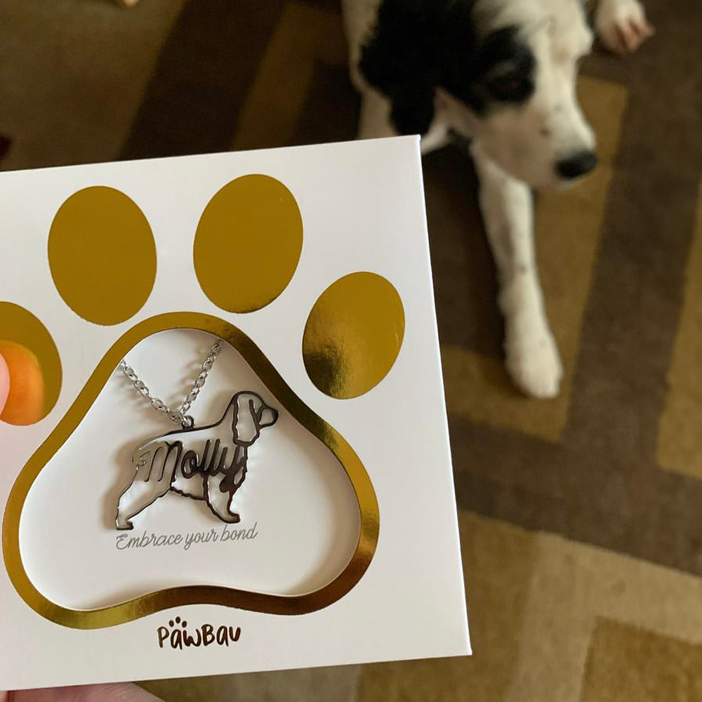 Necklace Pet Breed & Name