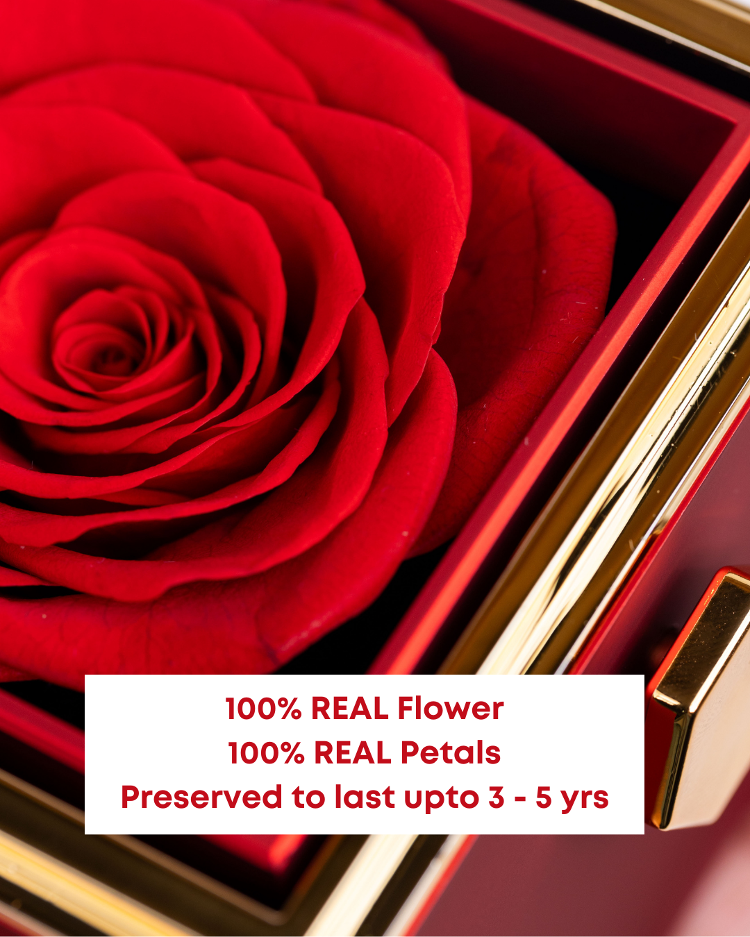 To My Daughter – Special Star Necklace (With Preserved Rose Box)