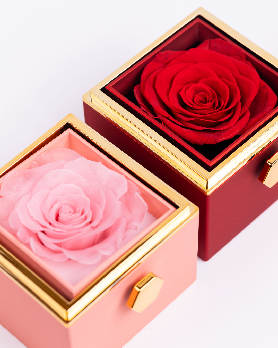 Original Preserved Rose Box & Premium Personalized Necklace