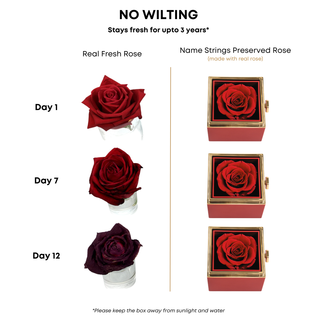 Original Preserved Rose Box & Premium Personalized Necklace